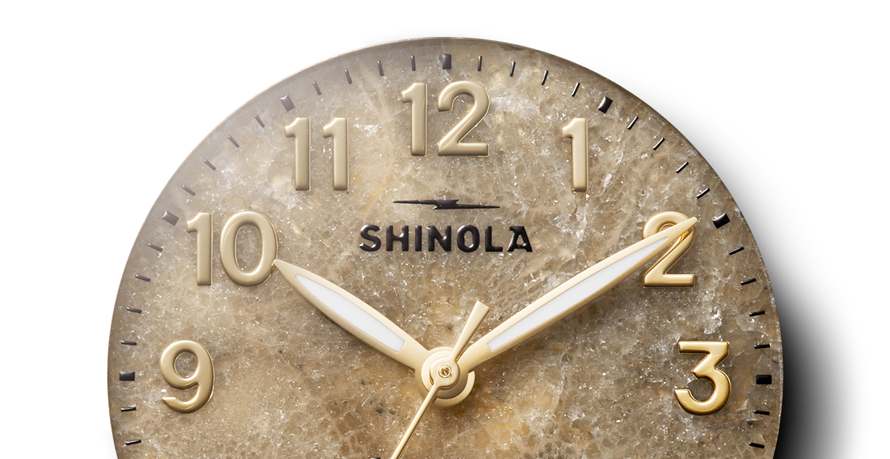 Birdy Watch - Petoskey