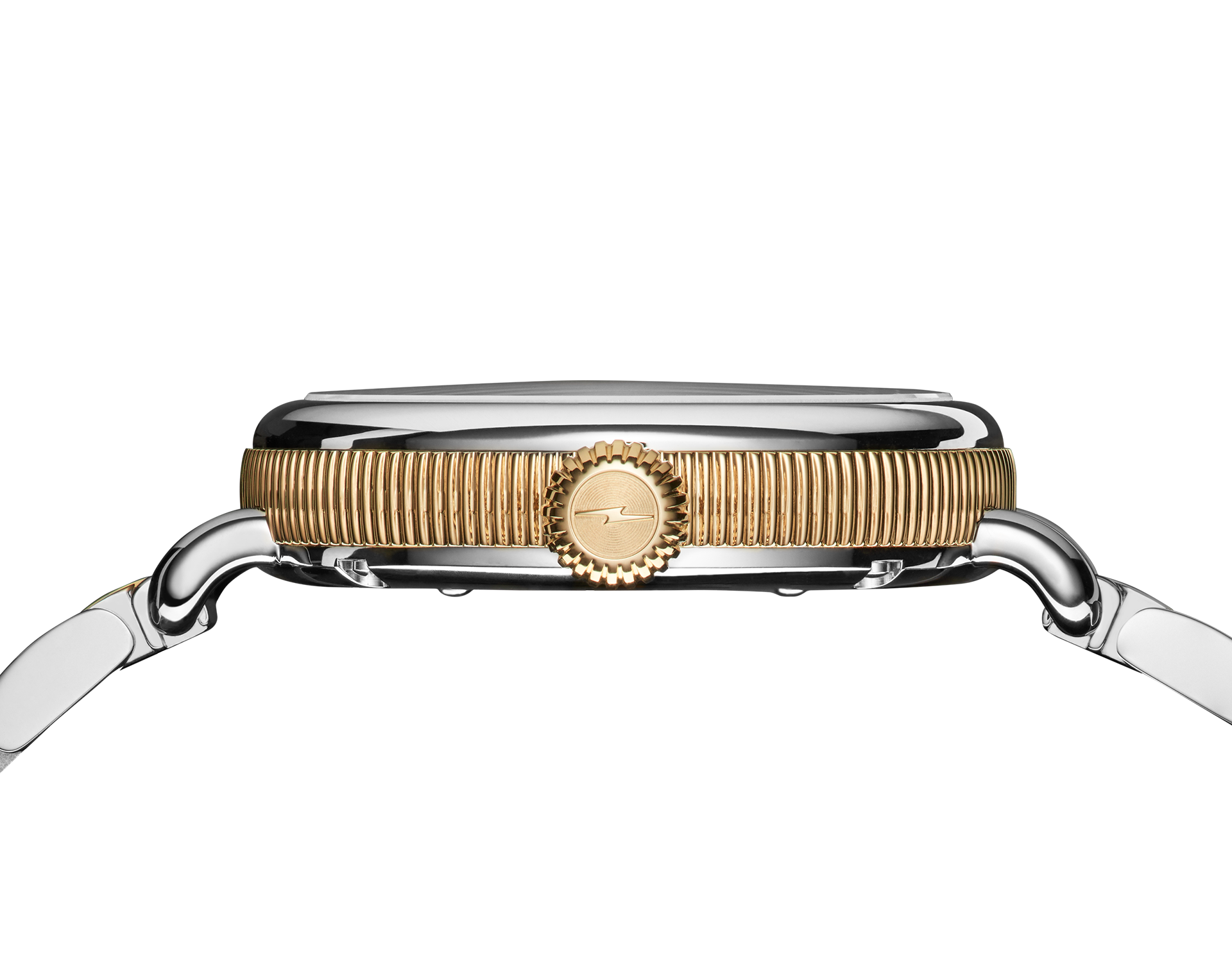 Birdy Watch - Petoskey