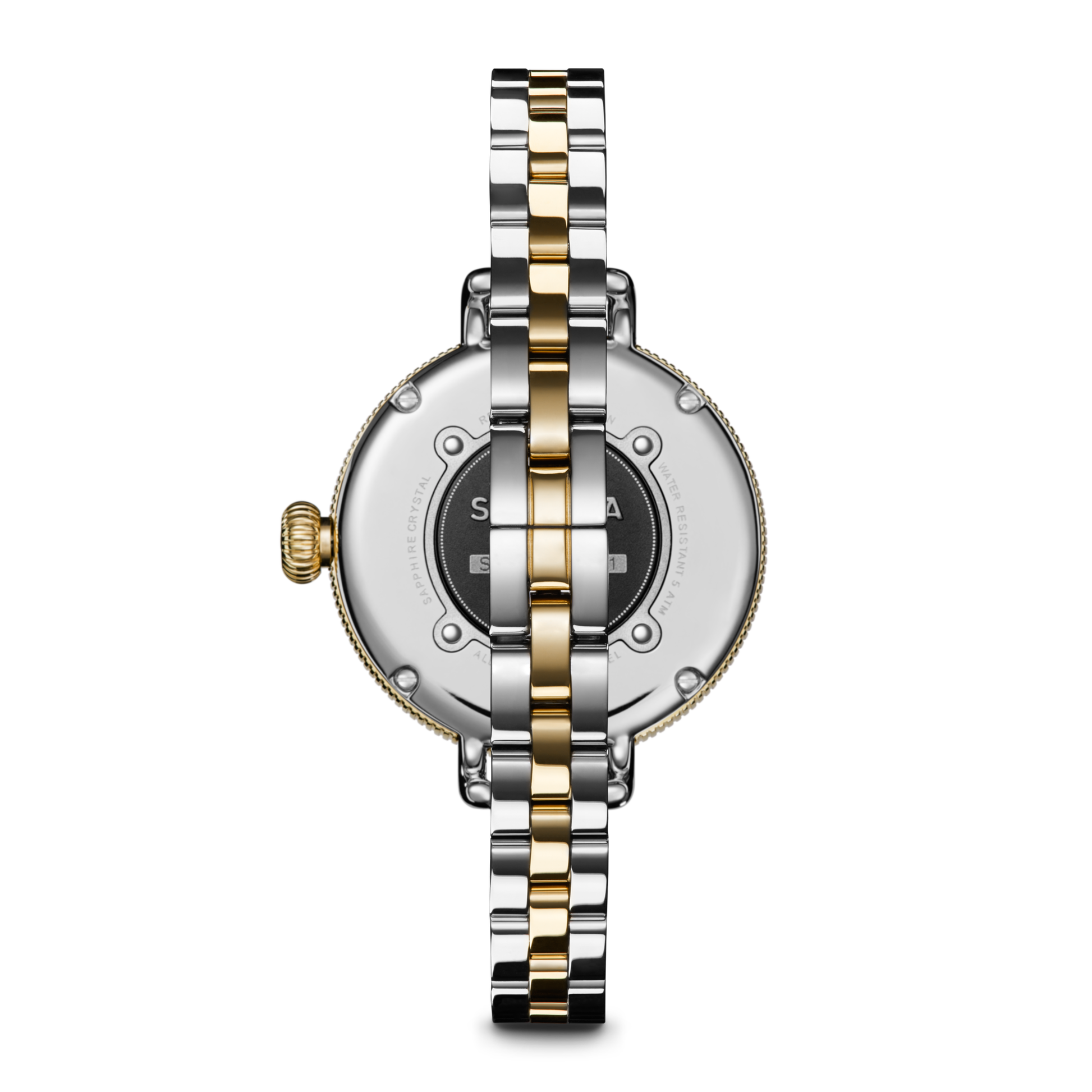 Birdy Watch - Petoskey