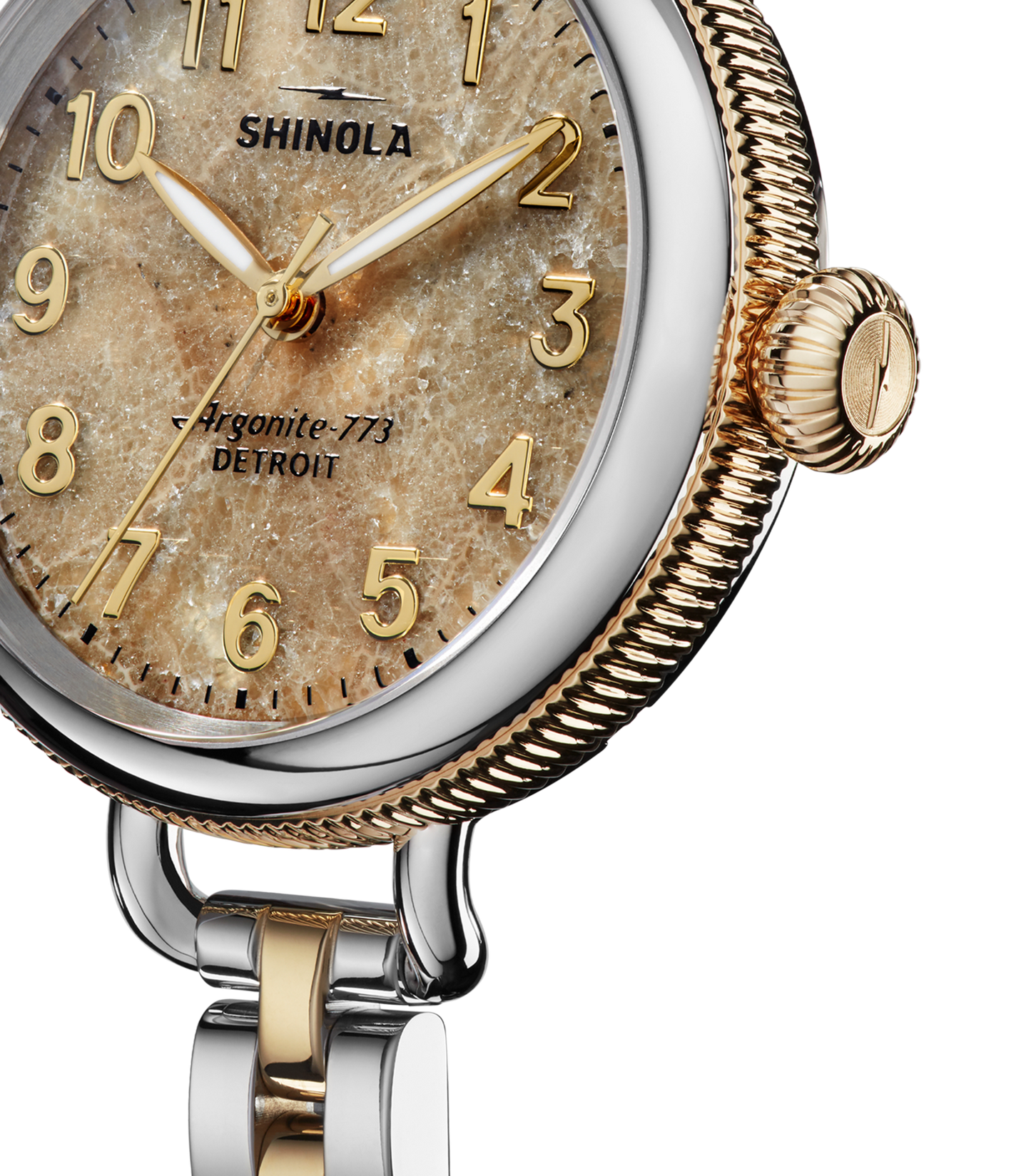 Birdy Watch - Petoskey